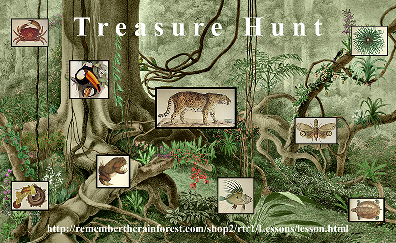 Treasure Hunt poster